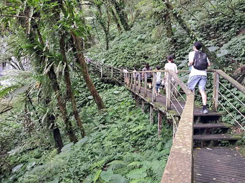 森林浴 健走 大自然 爬山 登山 芬多精 新鮮空氣英文